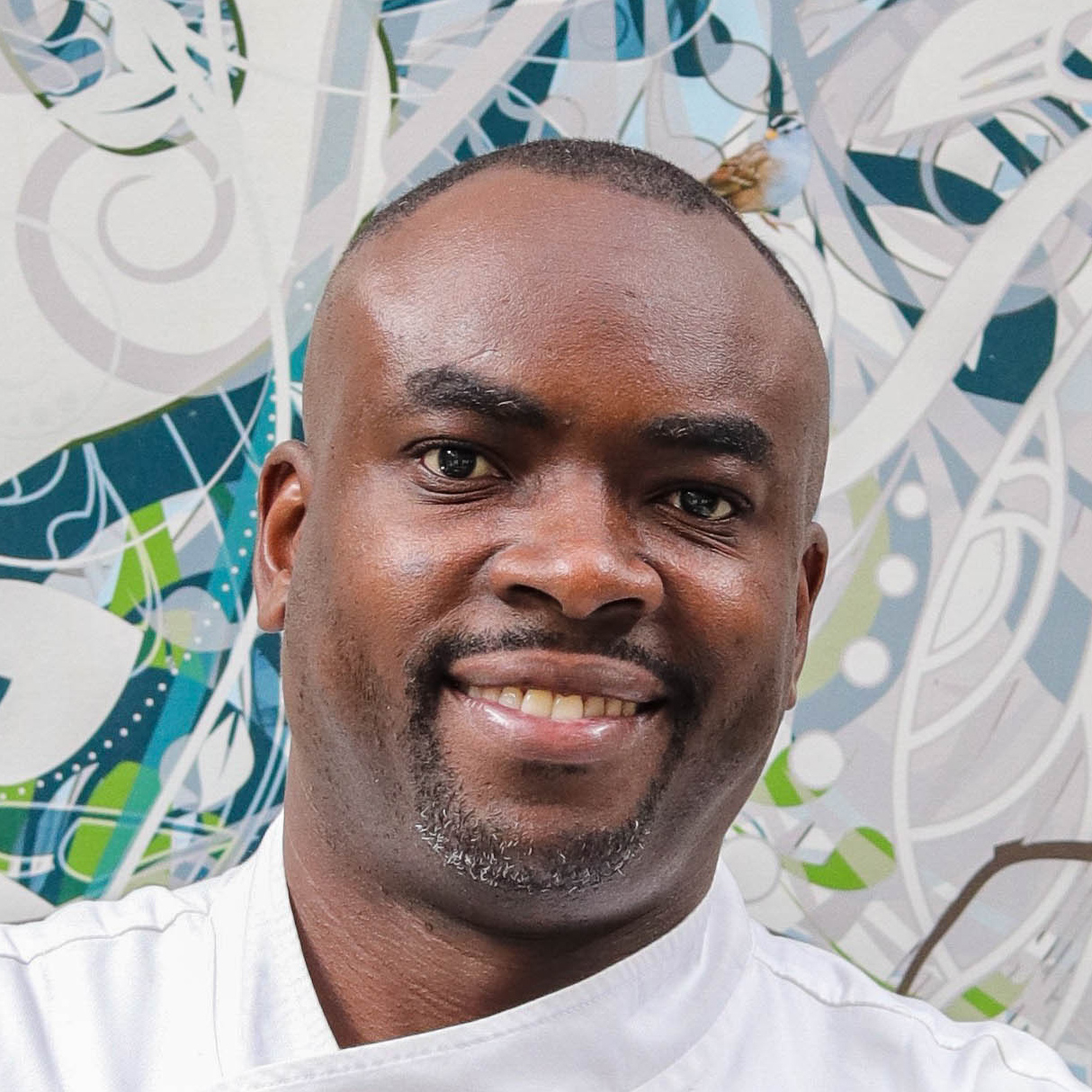Sylva Senat