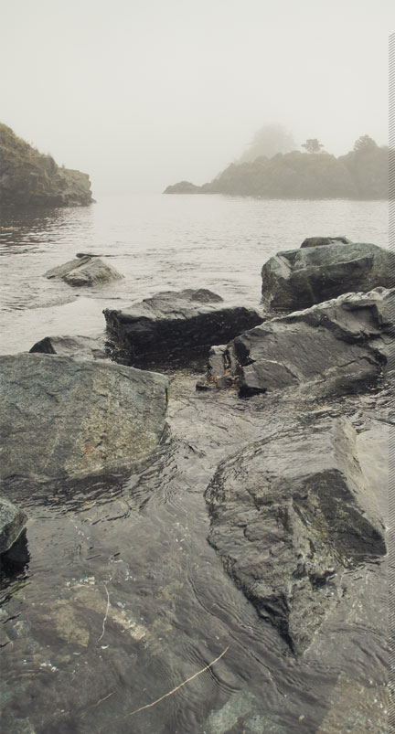 hatchery_image-left