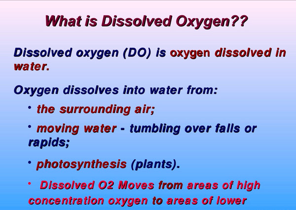 DissolvedOxygen200715