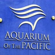 images/assets/images/news/small_Aquarium_of_the_Pacific.jpeg
