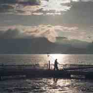 images/assets/images/news/small_Farmer_sillouette.jpg