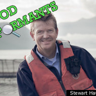 images/assets/images/news/small_s-STEWART-HAWTHORN-large300.jpg