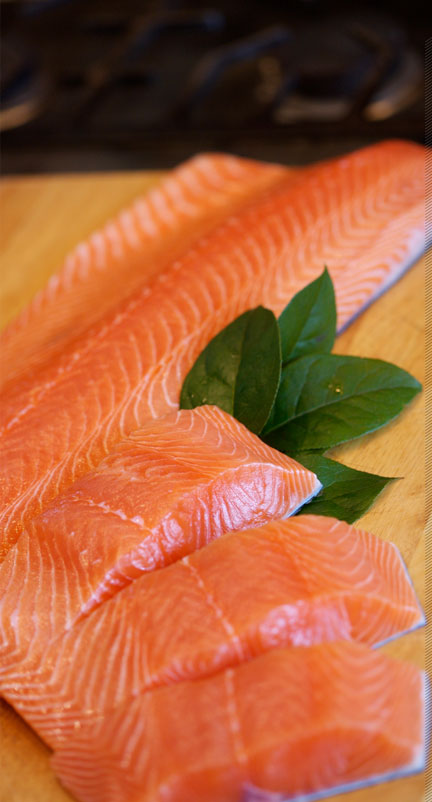 salmon_image-left
